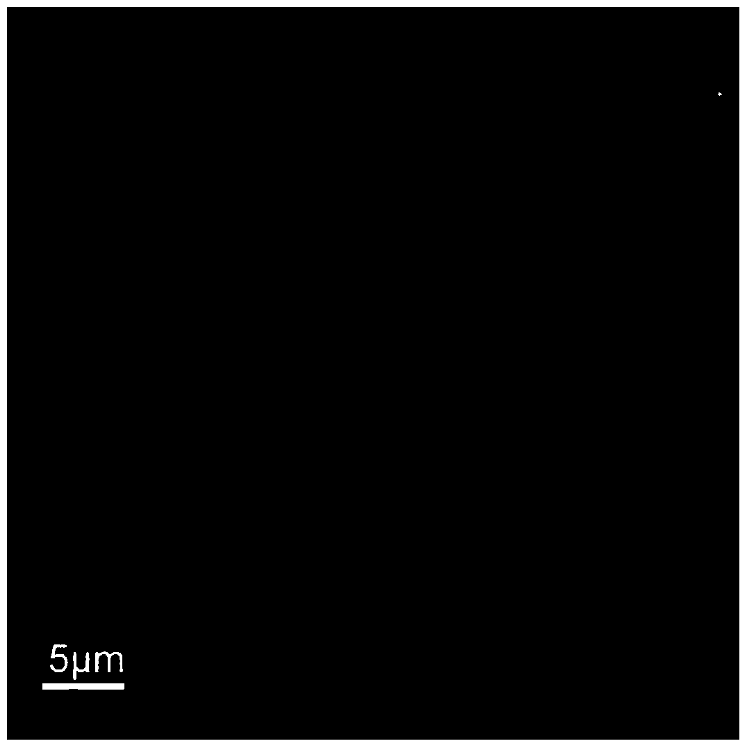 Preparation method of a surface-functionalized tobacco mosaic virus nanowire composite material