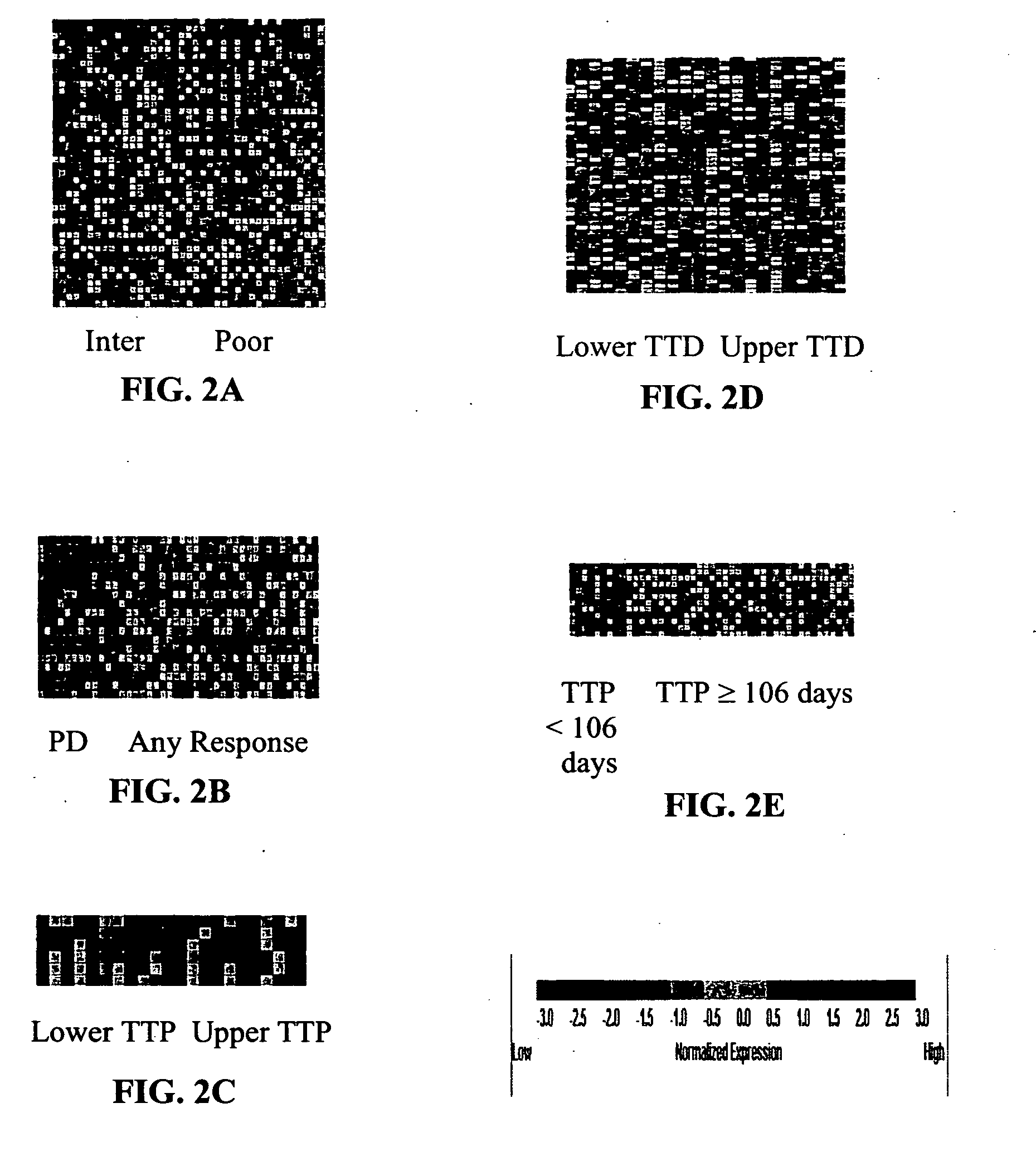 Methods for prognosis and treatment of solid tumors