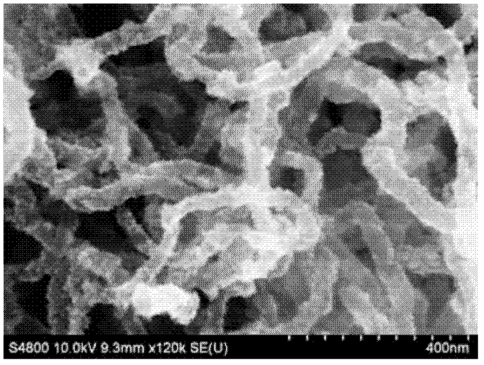 Preparation method of carbon nano tube/polymer/semiconductor nano particle composite material