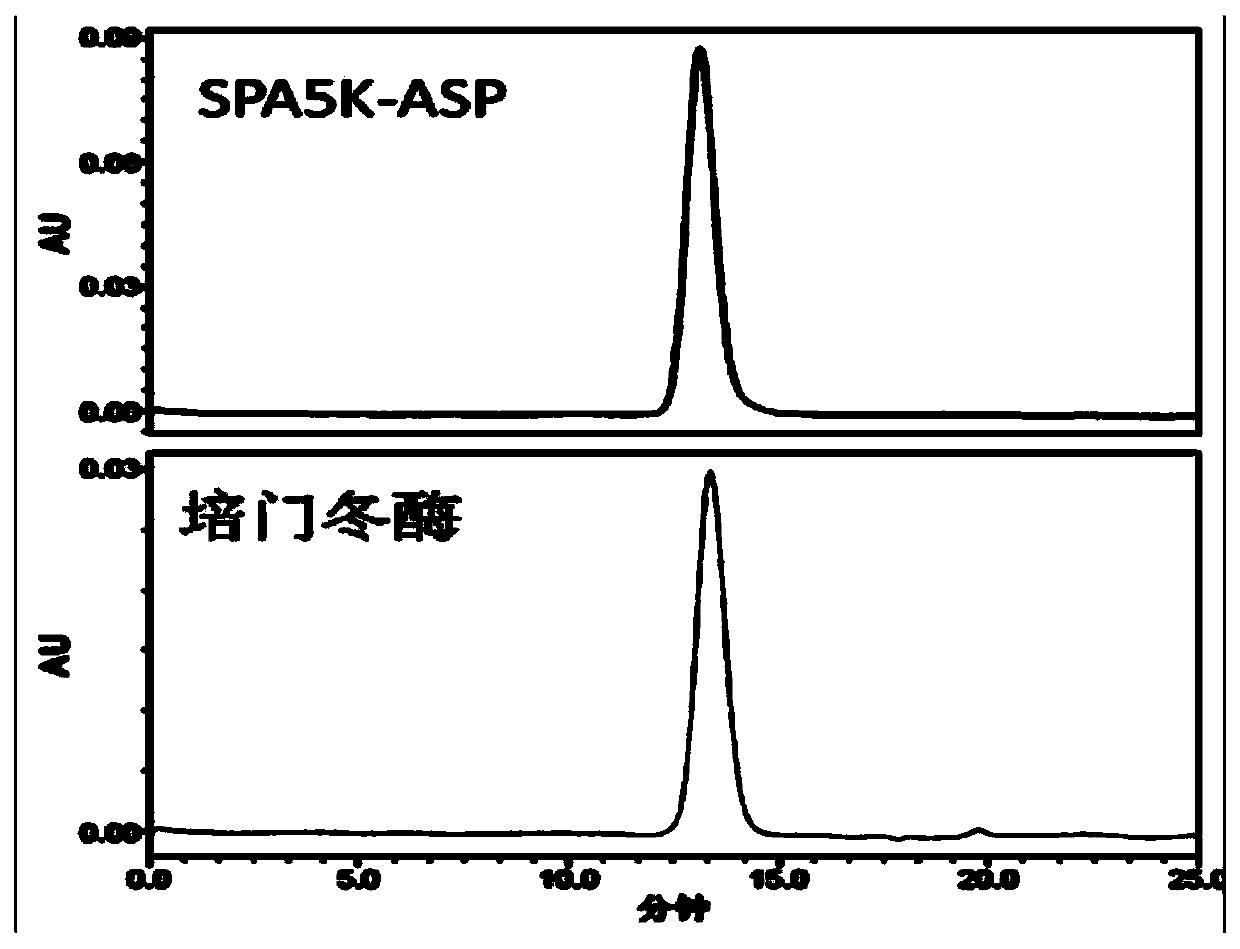 Polyethylene glycol modified protein and method for purification of modified product