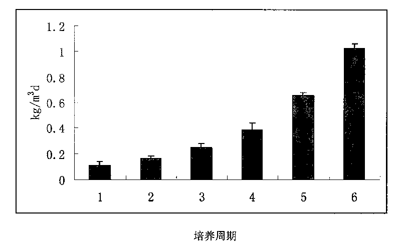Large-scaled culture method of high-concentration nitrosobacteria and application thereof