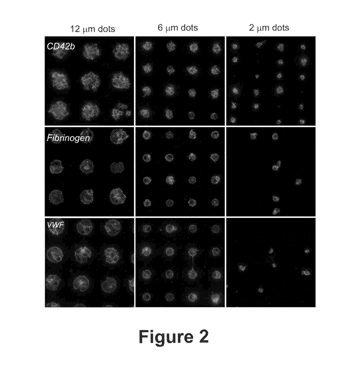 Platelet analysis