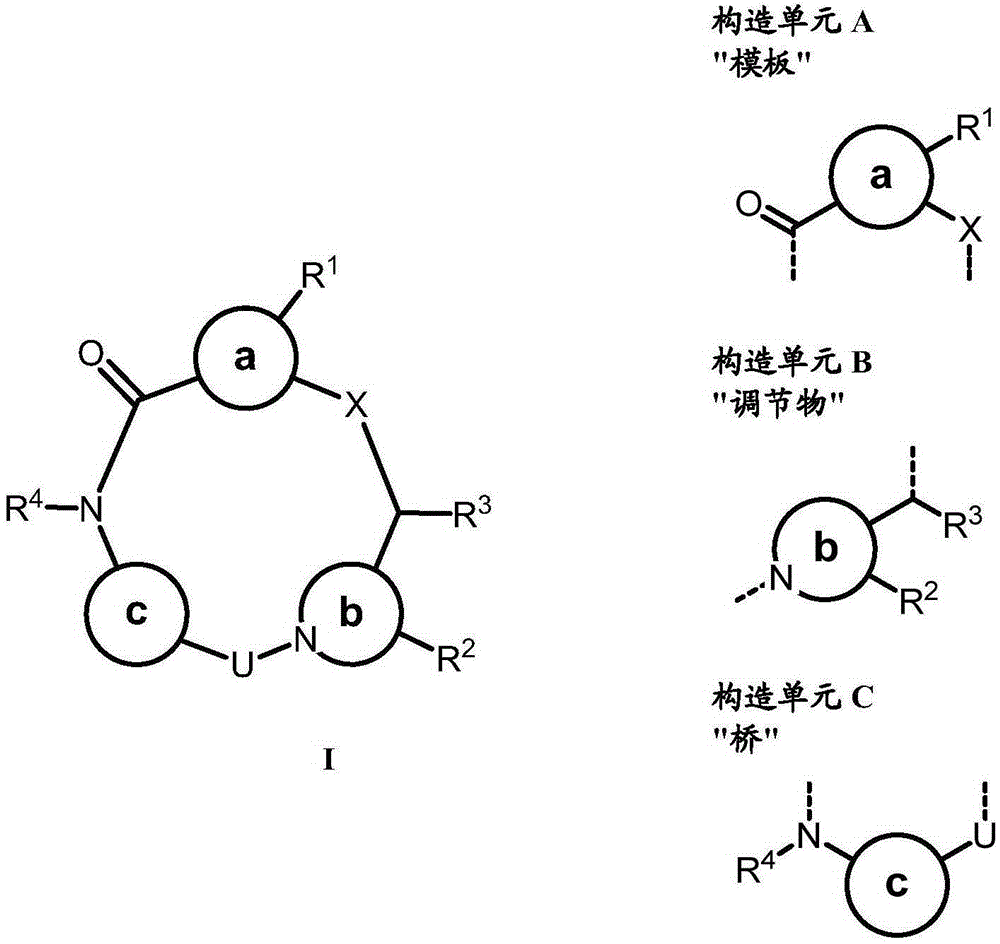 Conformation-constrained entirely-synthetic macrocyclic compounds