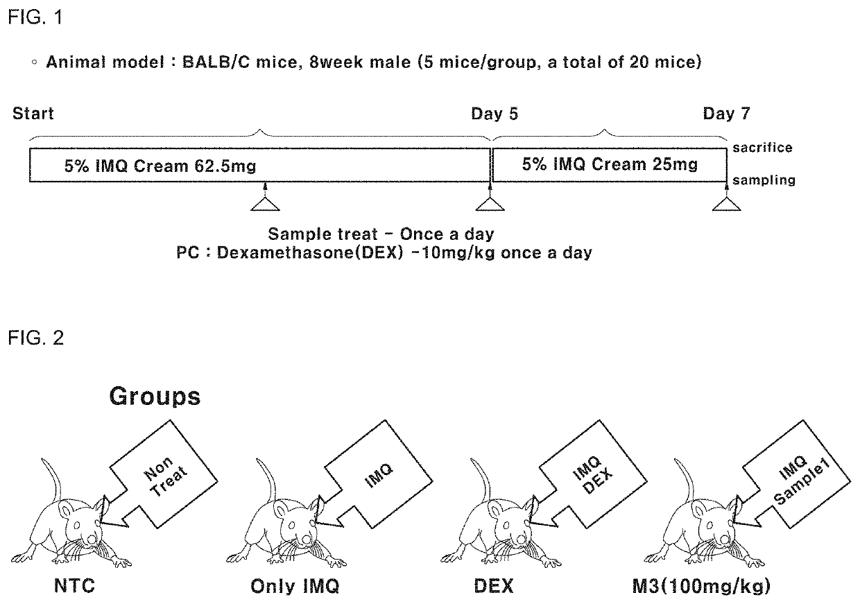 Composition for ameliorating psoriasis symptoms containing extract of thalictrum squarrosum steph