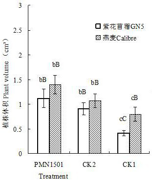 Plant Phosphorus Solubilizing and Nitrogen Fixing Growth-promoting Bacteria and Its Bacterial Agent and Application Used in Rocky Desert Area