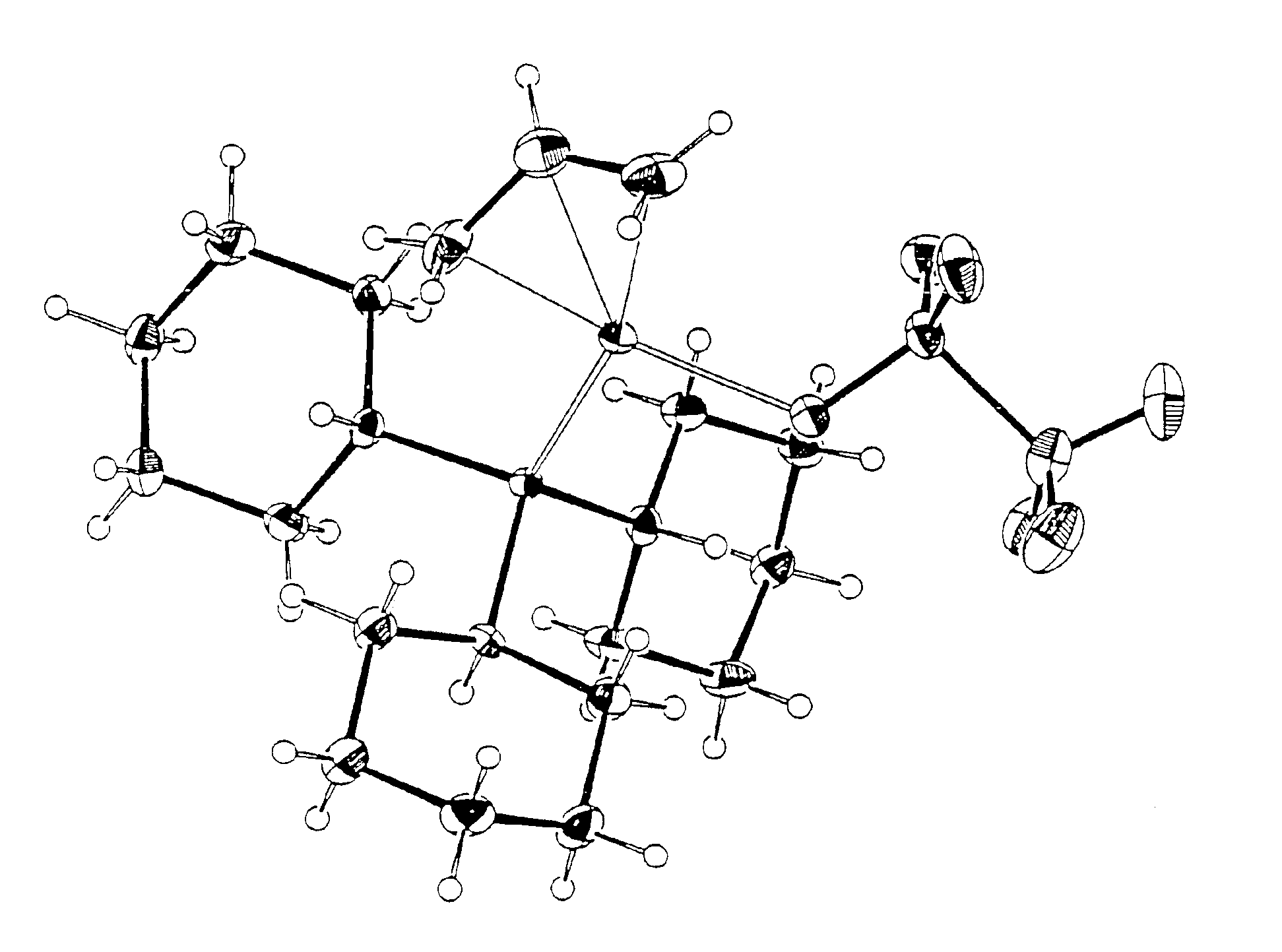 Polymerized cycloolefins using transition metal catalyst and end products thereof