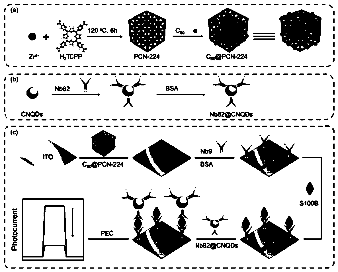 Photoelectrochemical immunosensor for detecting S100B and preparation method thereof, and application of photoelectrochemical immunosensor