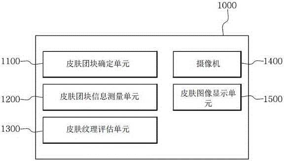 A skin block mass based skin texture evaluating device and evaluating method