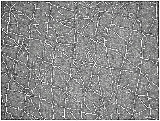 A skin block mass based skin texture evaluating device and evaluating method