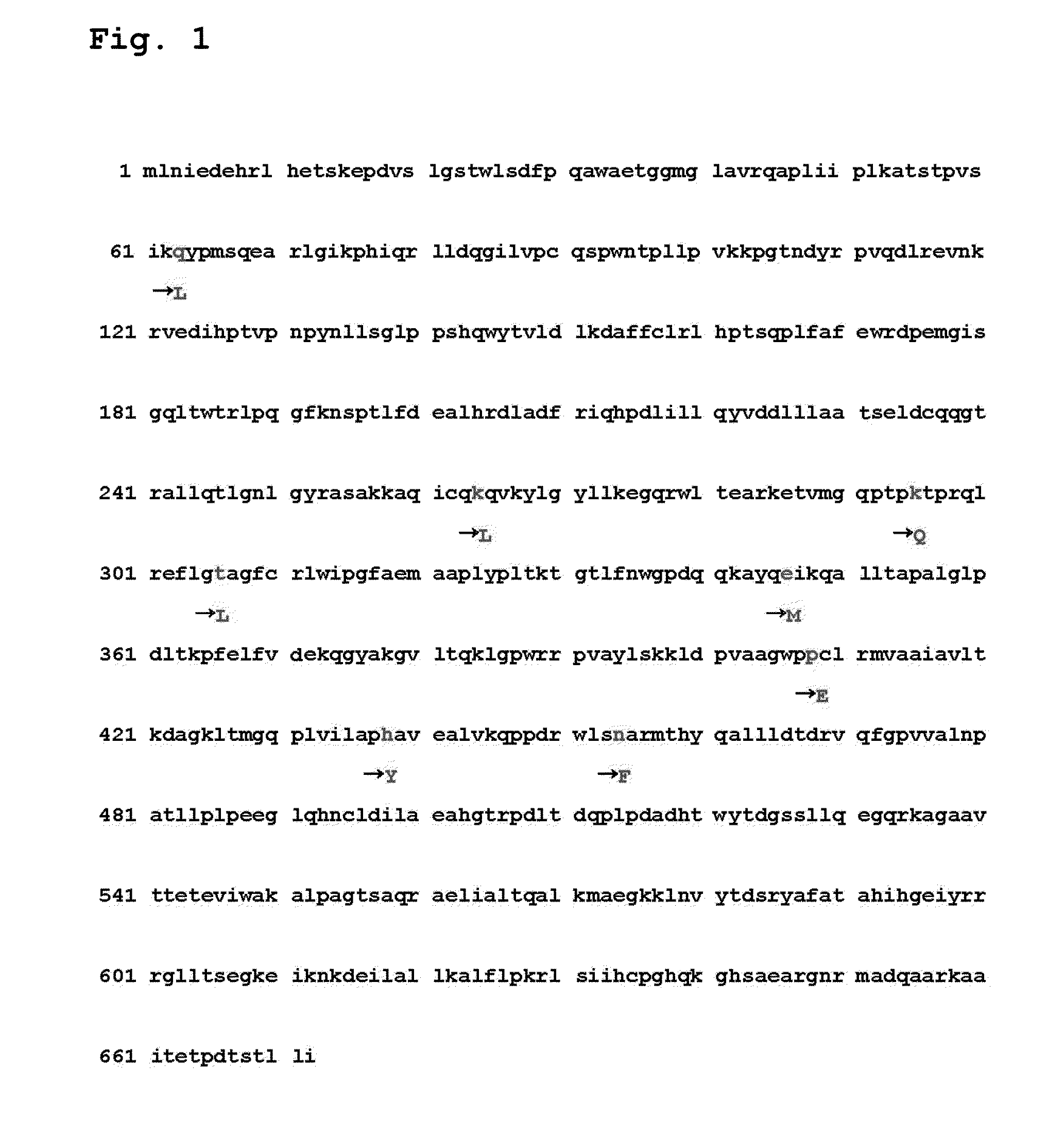 Reverse transcriptase having improved thermostability