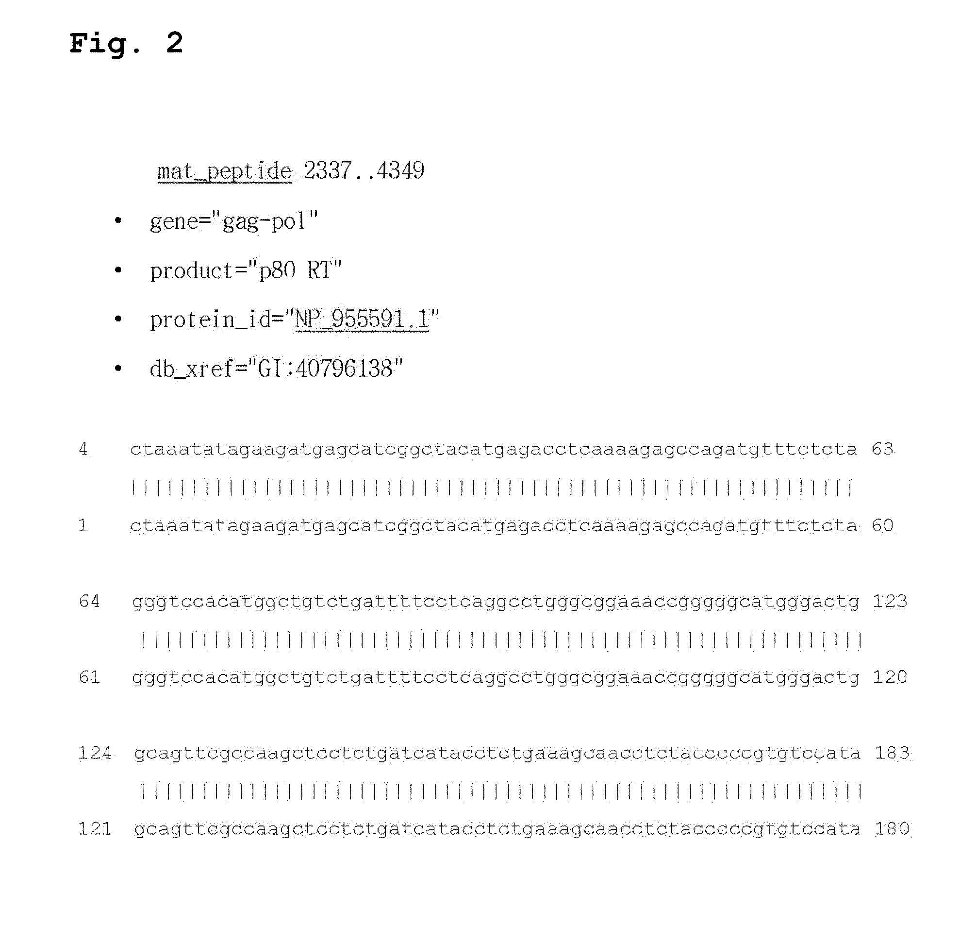 Reverse transcriptase having improved thermostability