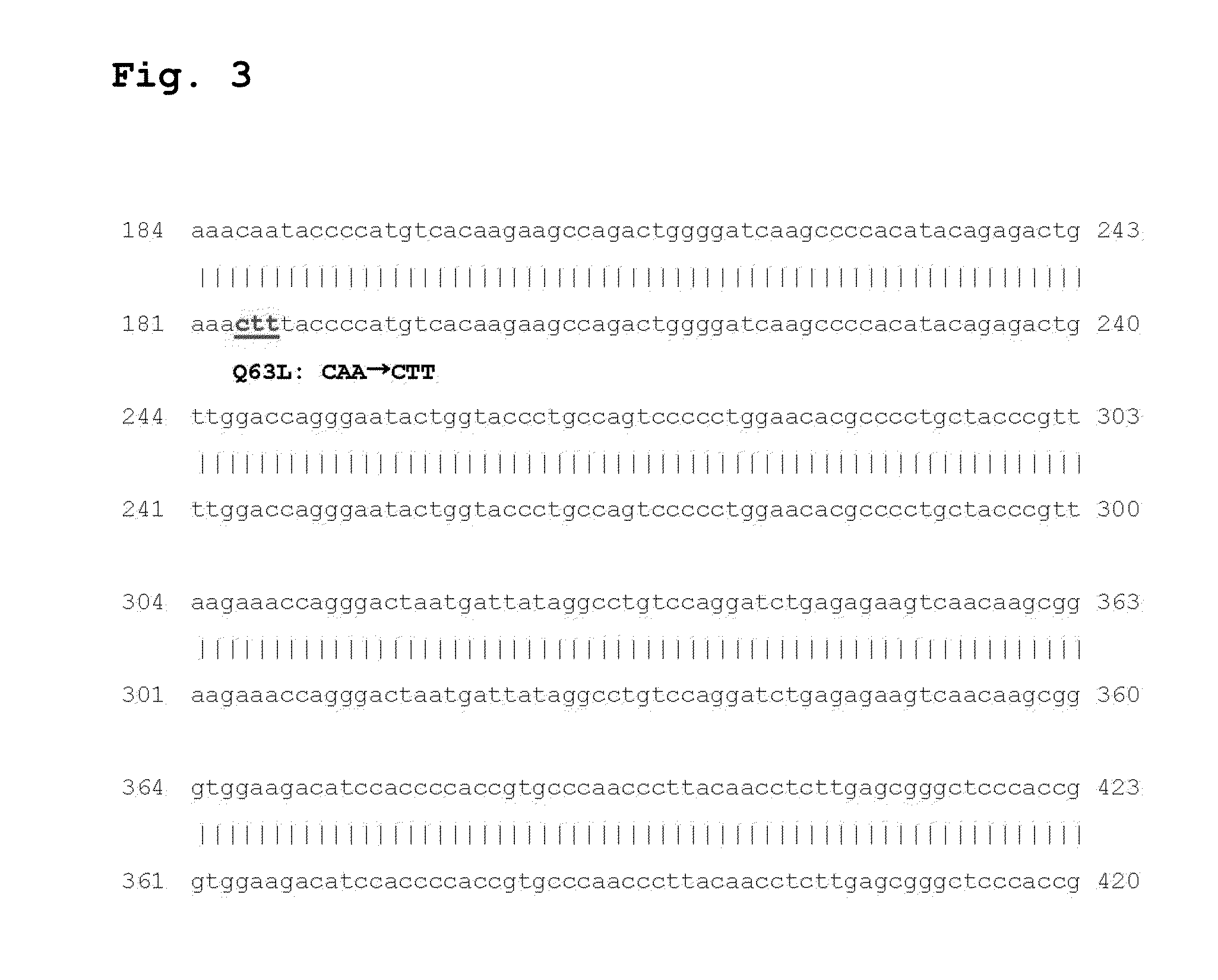 Reverse transcriptase having improved thermostability