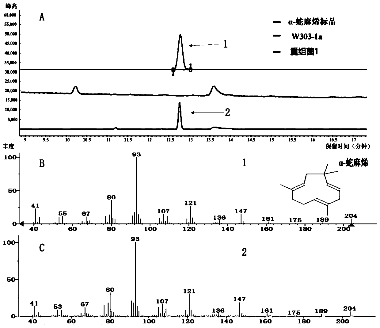 Saccharomyces cerevisiae recombinant bacterium capable of producing alpha-humulene, 8-hydroxy-alpha-humulene and zerumbone and construction method thereof