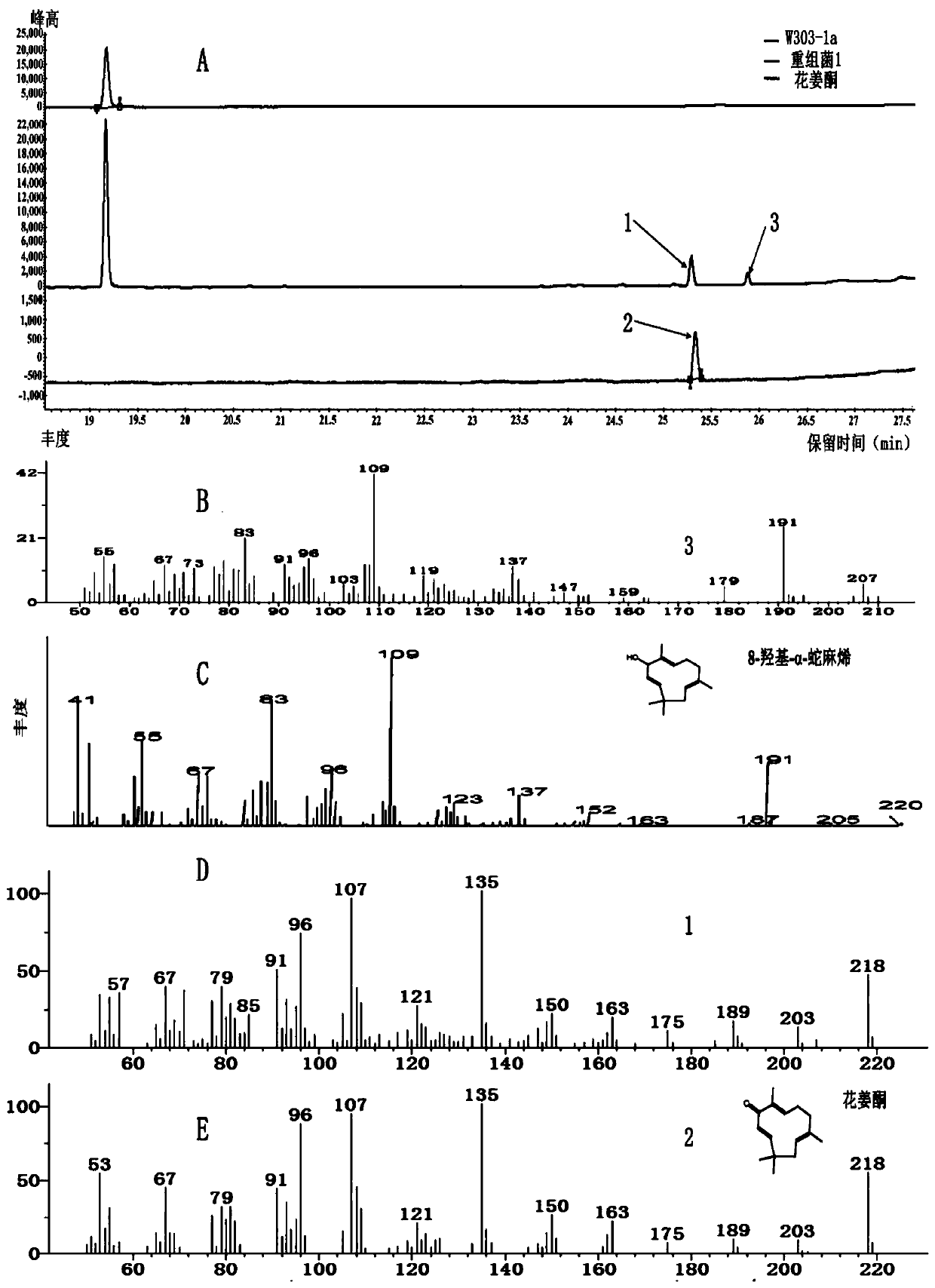 Saccharomyces cerevisiae recombinant bacterium capable of producing alpha-humulene, 8-hydroxy-alpha-humulene and zerumbone and construction method thereof