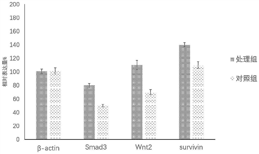 Composition comprising mesenchymal stem cells and exosomes and its application in tissue repair