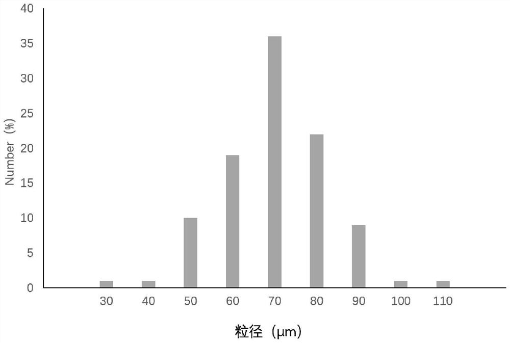 Composition comprising mesenchymal stem cells and exosomes and its application in tissue repair