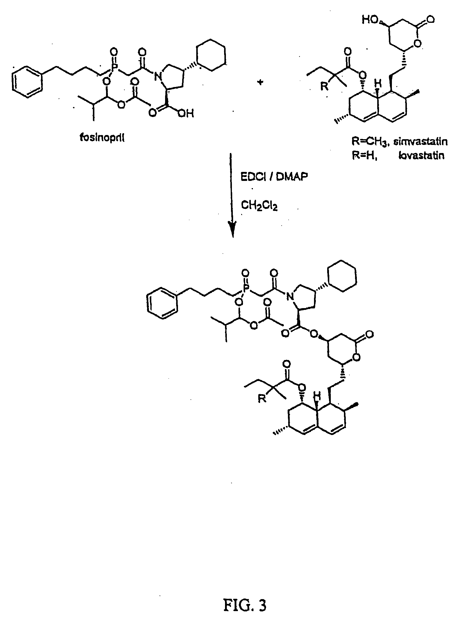HMGCoA reductase inhibitor-angiotensin converting enzyme inhibitor compounds