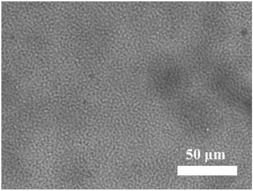 Method for regulation of surface morphology based on change of polypyrrole polymerization time