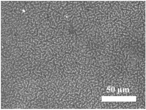 Method for regulation of surface morphology based on change of polypyrrole polymerization time