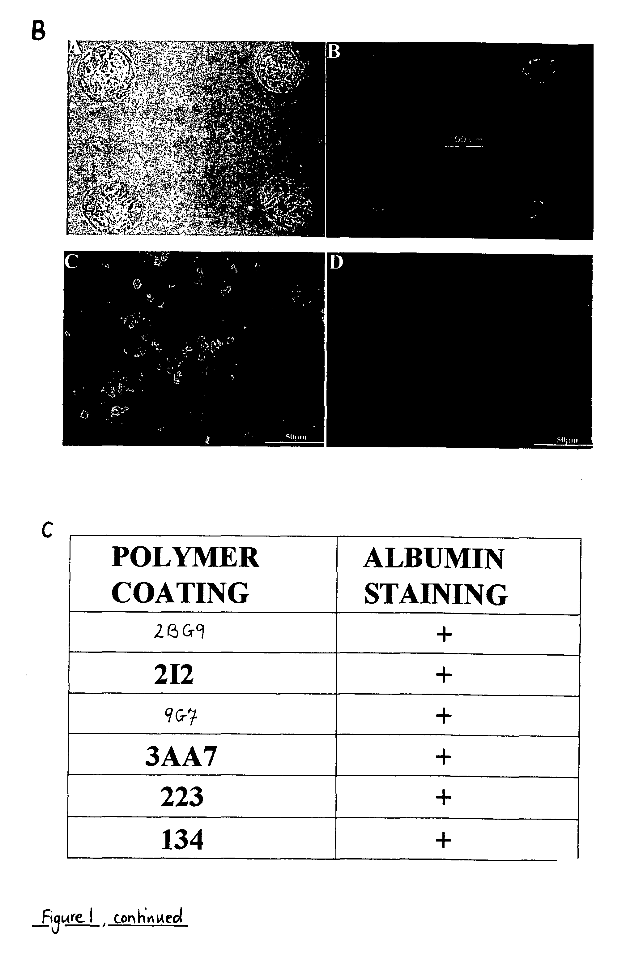 Polymers for growing cells