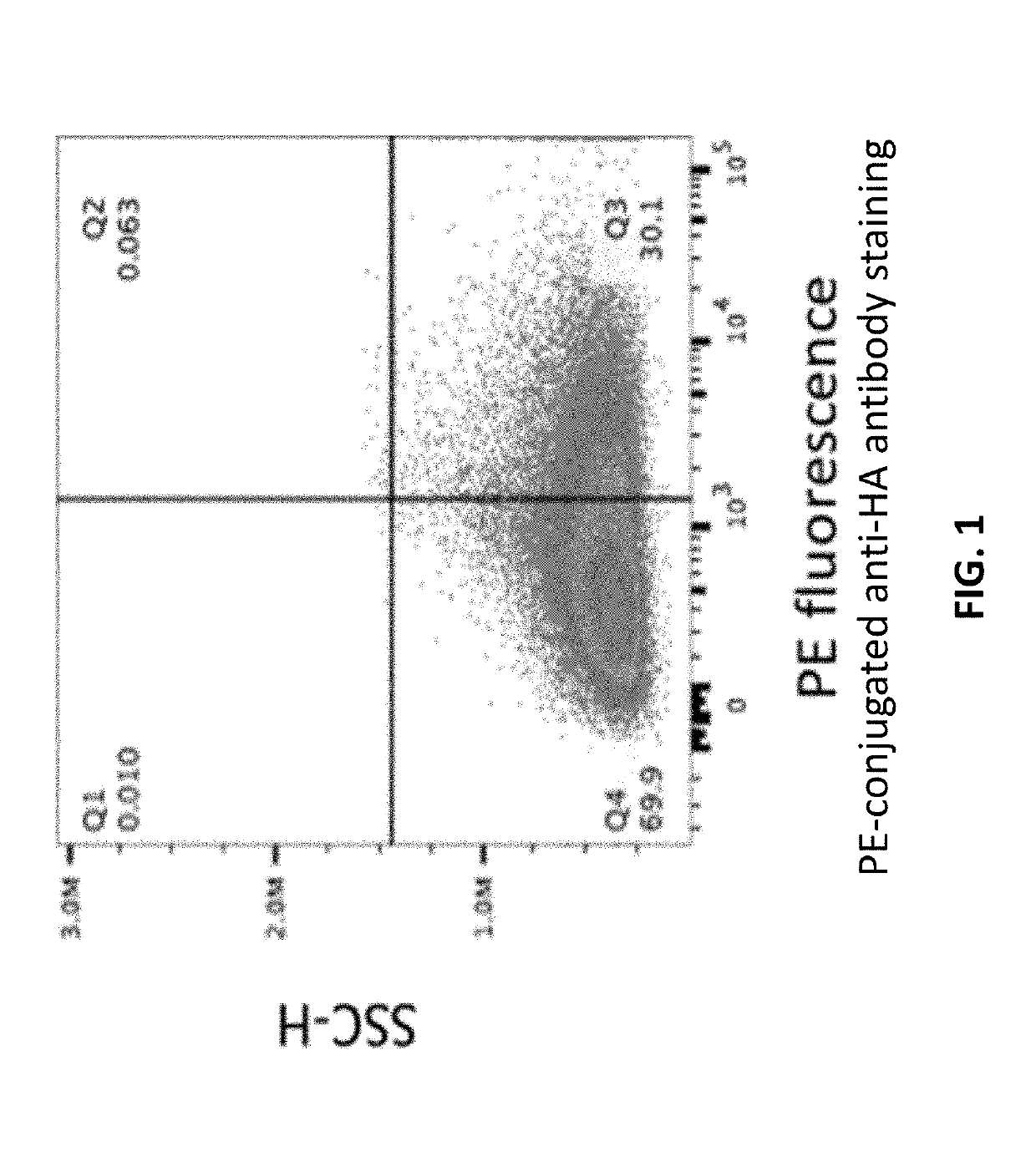 Compositions and methods related to therapeutic cell systems for tumor growth inhibition