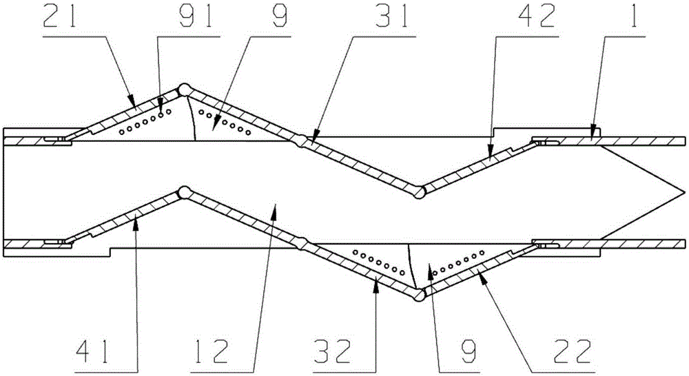 Adjustable S-shaped binary spraying pipe