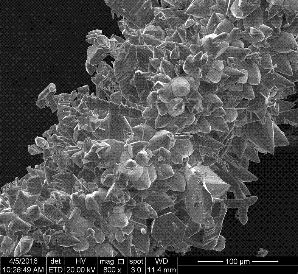 Method for synthesizing large-sized zinc oxide crystals by using microwaves