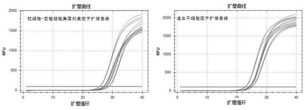 Application of composition to preparation of medicine for treating iron-deficiency anemia