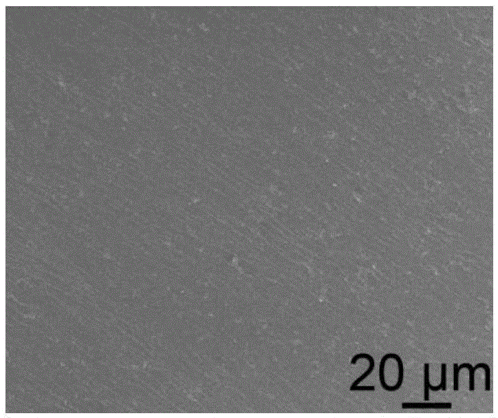 Surface in-situ processing method of metal lithium negative electrode and application