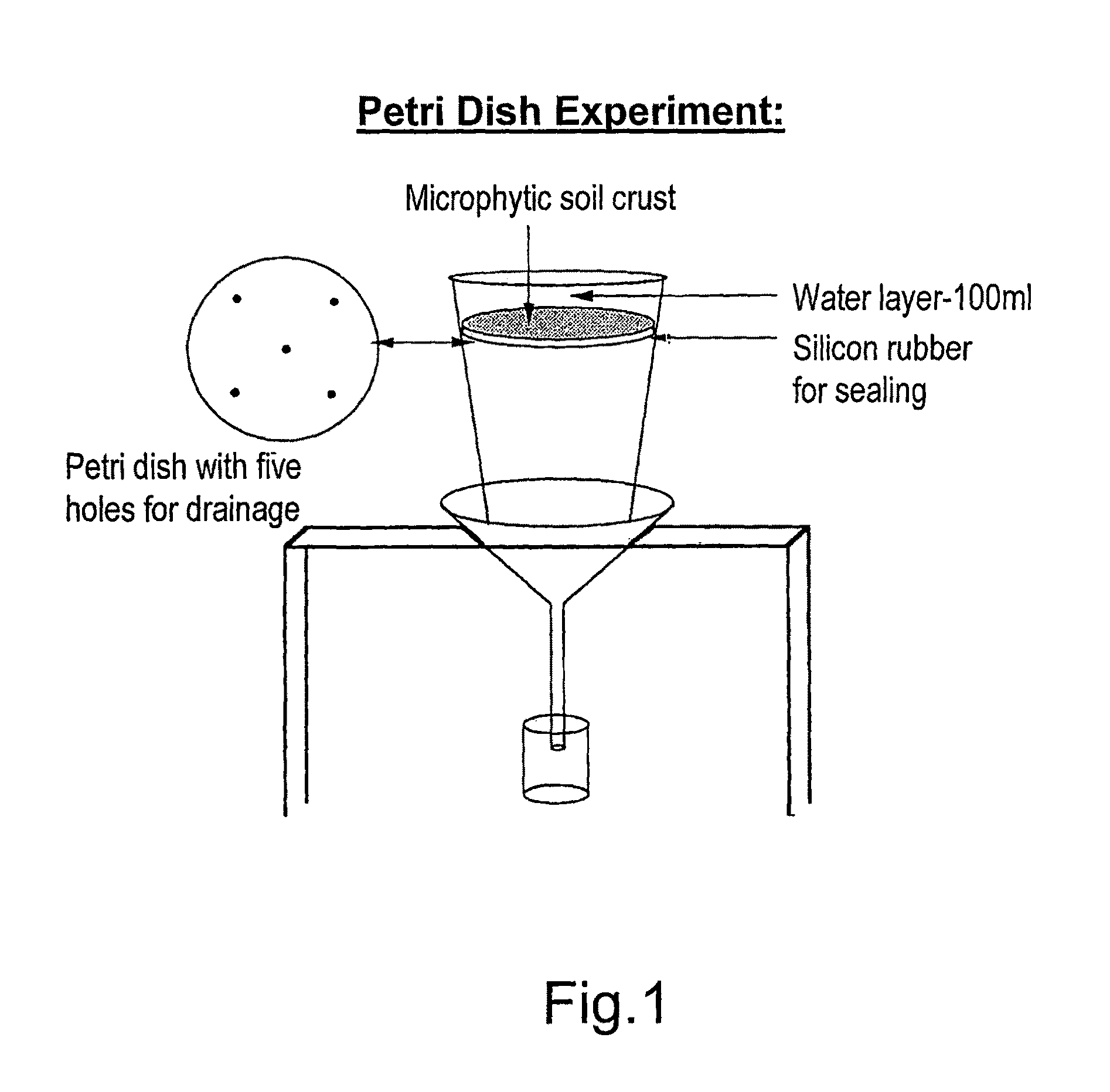 Method for promoting soil crust formation