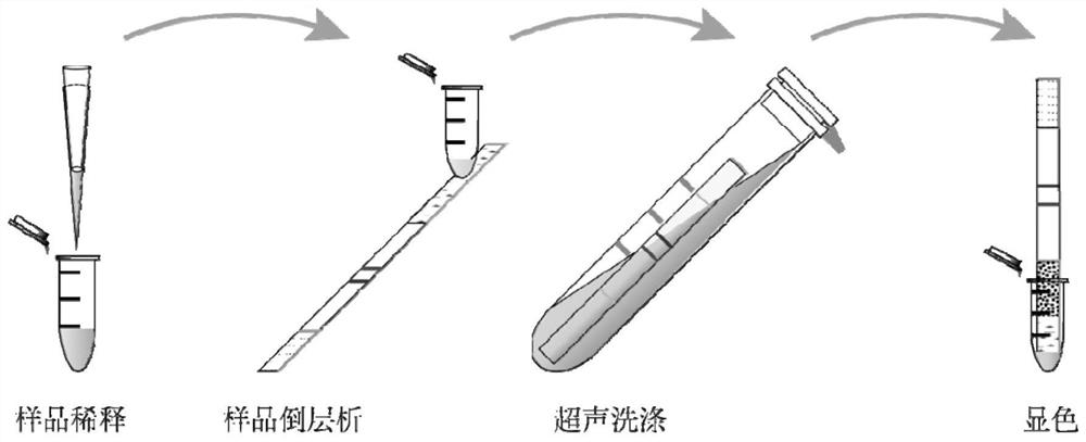 Myositis and myasthenia gravis autoantibody detection kit and method in human body fluid