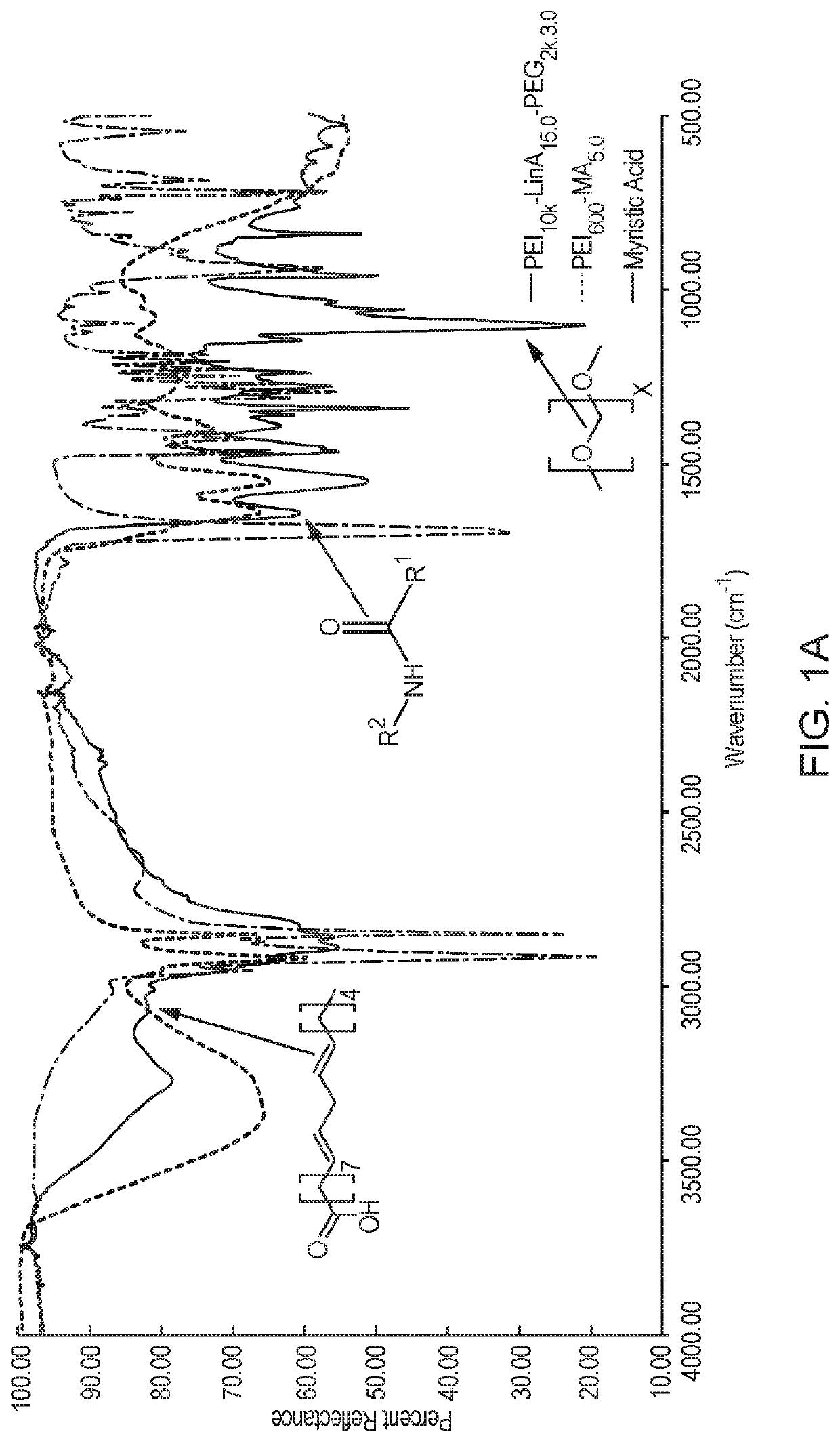 Polyethylenimine nanoparticles and methods of using same