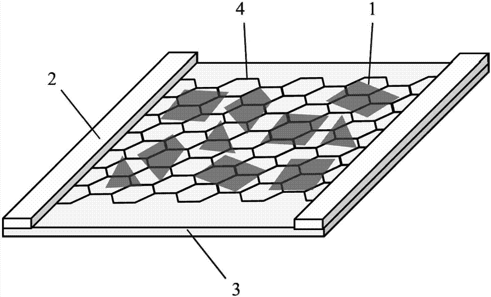 A kind of preparation method of graphene and reduced graphene oxide composite film