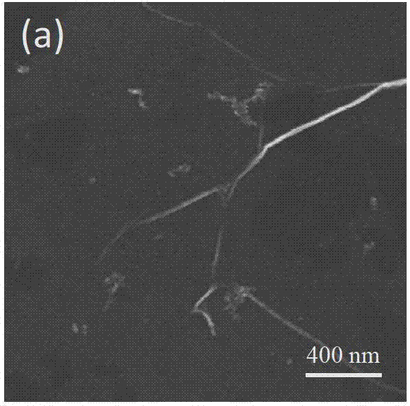 A kind of preparation method of graphene and reduced graphene oxide composite film