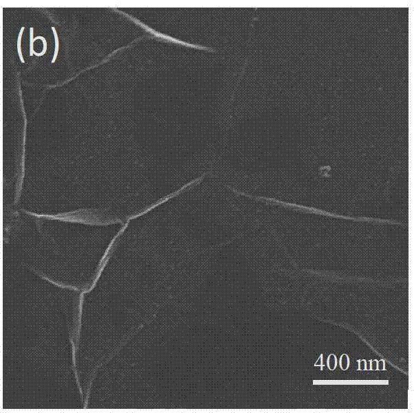 A kind of preparation method of graphene and reduced graphene oxide composite film