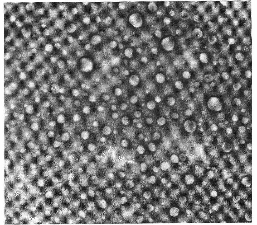 Lung-targeted medicine carrying precursor liposome for injection and method of use thereof