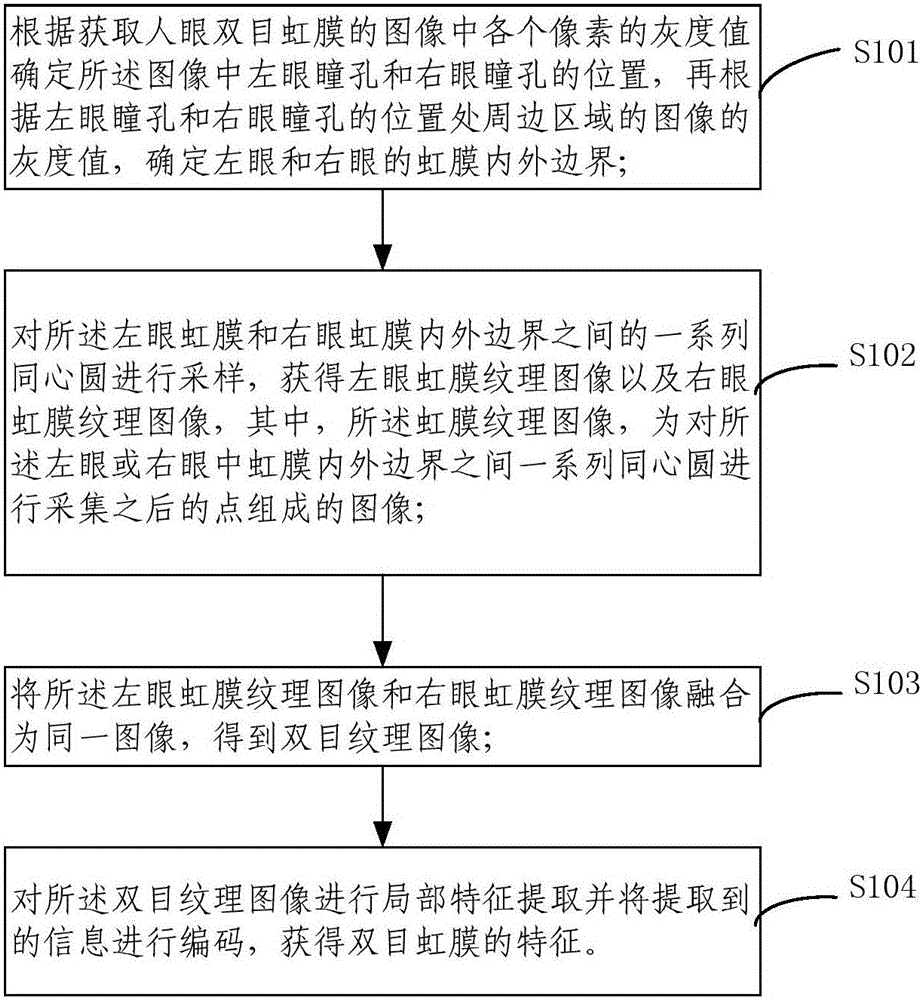 Binocular iris characteristic obtaining method, binocular iris characteristic obtaining device, identity identification method and identity identification system