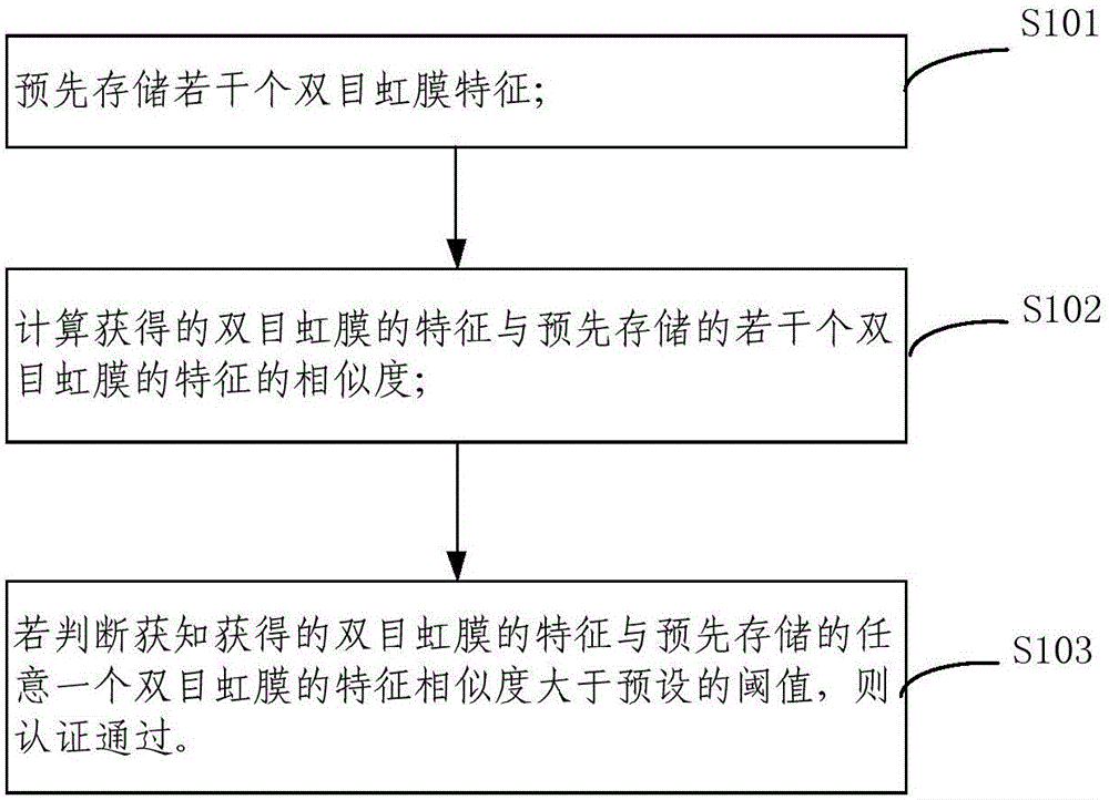 Binocular iris characteristic obtaining method, binocular iris characteristic obtaining device, identity identification method and identity identification system