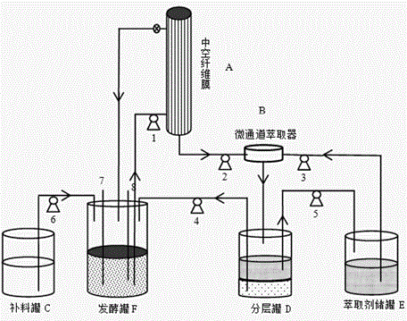 Micro-channel-extraction-based bio-membrane reactor, and application of micro-channel-extraction-based bio-membrane reactor to butanol fermentation