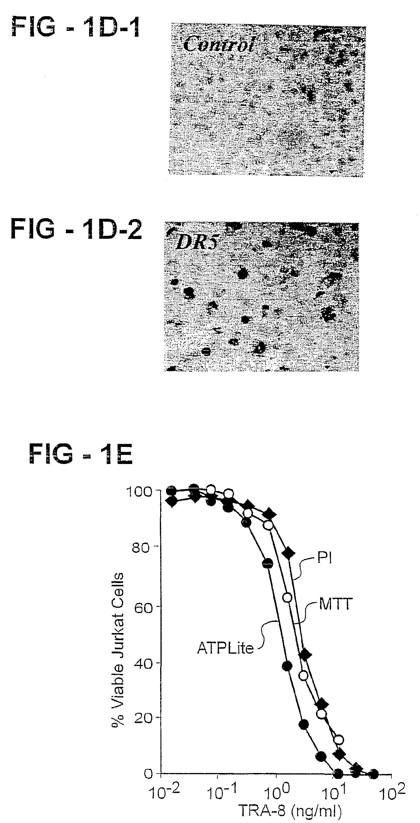 Antibody selective for a tumor necrosis factor-related apoptosis-inducing ligand receptor and uses thereof