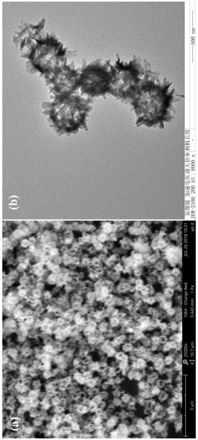 Preparation method of near-infrared light-enriched cysteine-modified bismuth sulfide hollow spheres and its application in photothermal therapy and drug controlled release