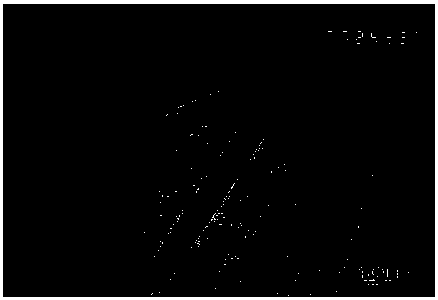 Nano (ti,m)c solid solution whiskers and preparation method thereof