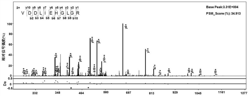 Mycobacterium tuberculosis H37Rv new gene as well as encoding protein and application thereof