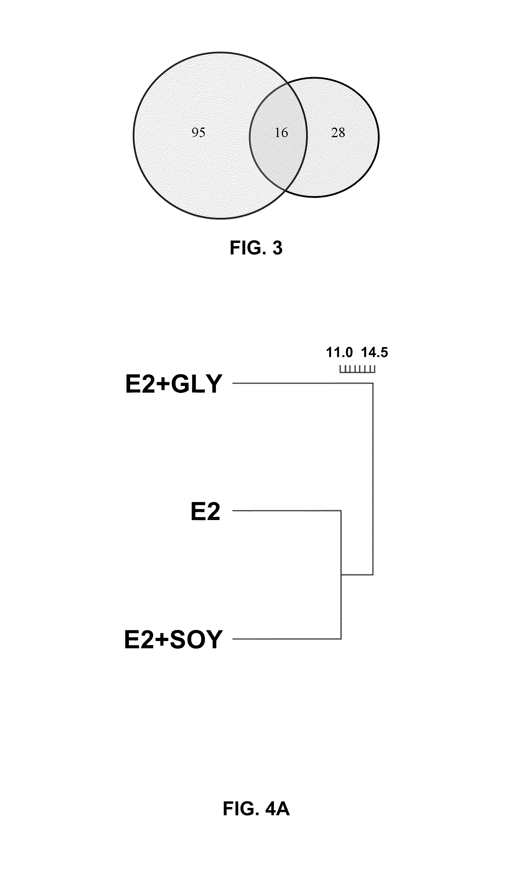 Compositions and methods for treating obesity and diabetes