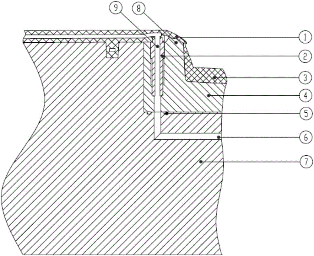 Mold and production process of gas-assisted electroplated product