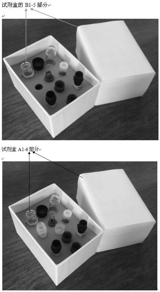 A kit for liver cancer detection