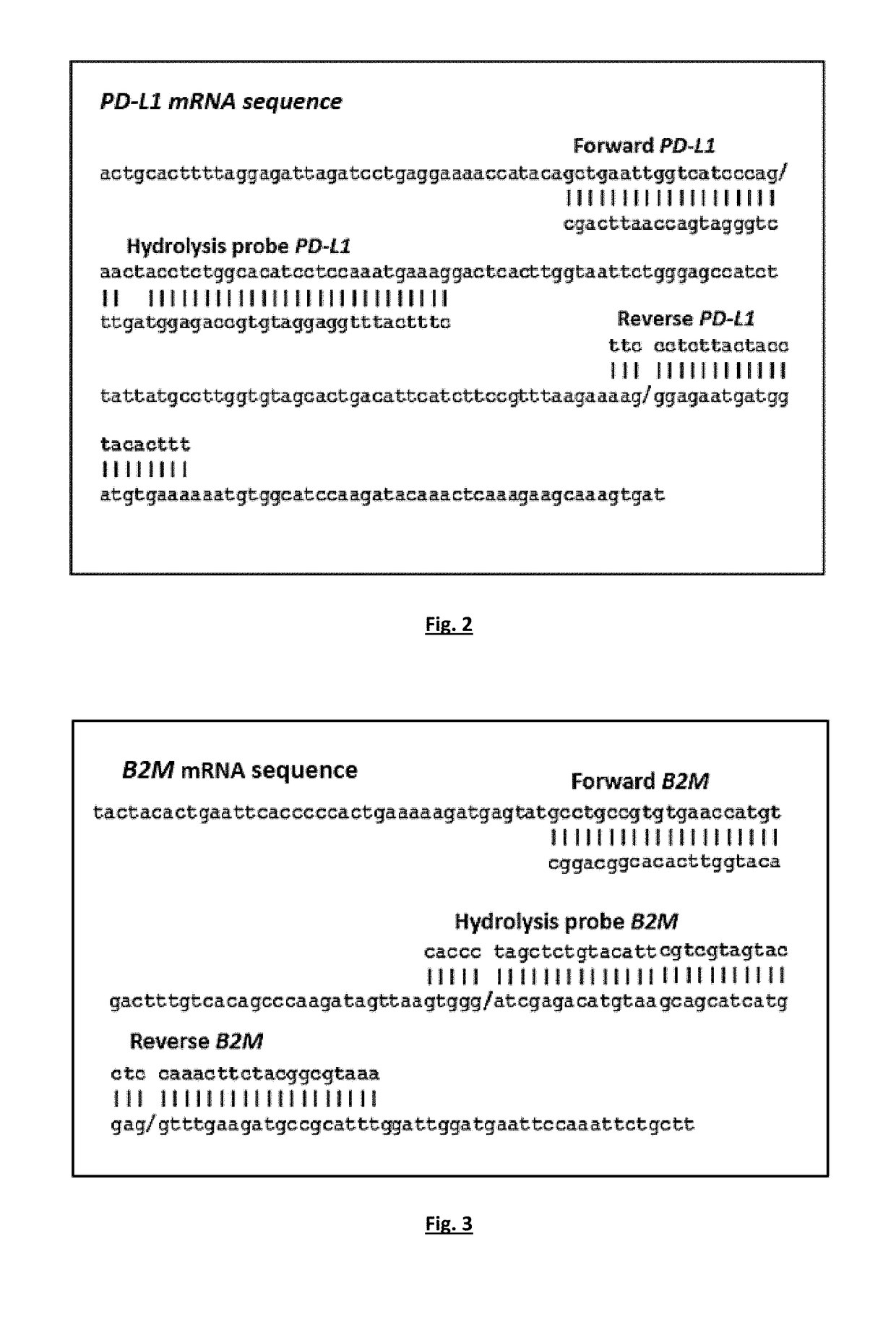 Method for the quantification of pd-l1 expression