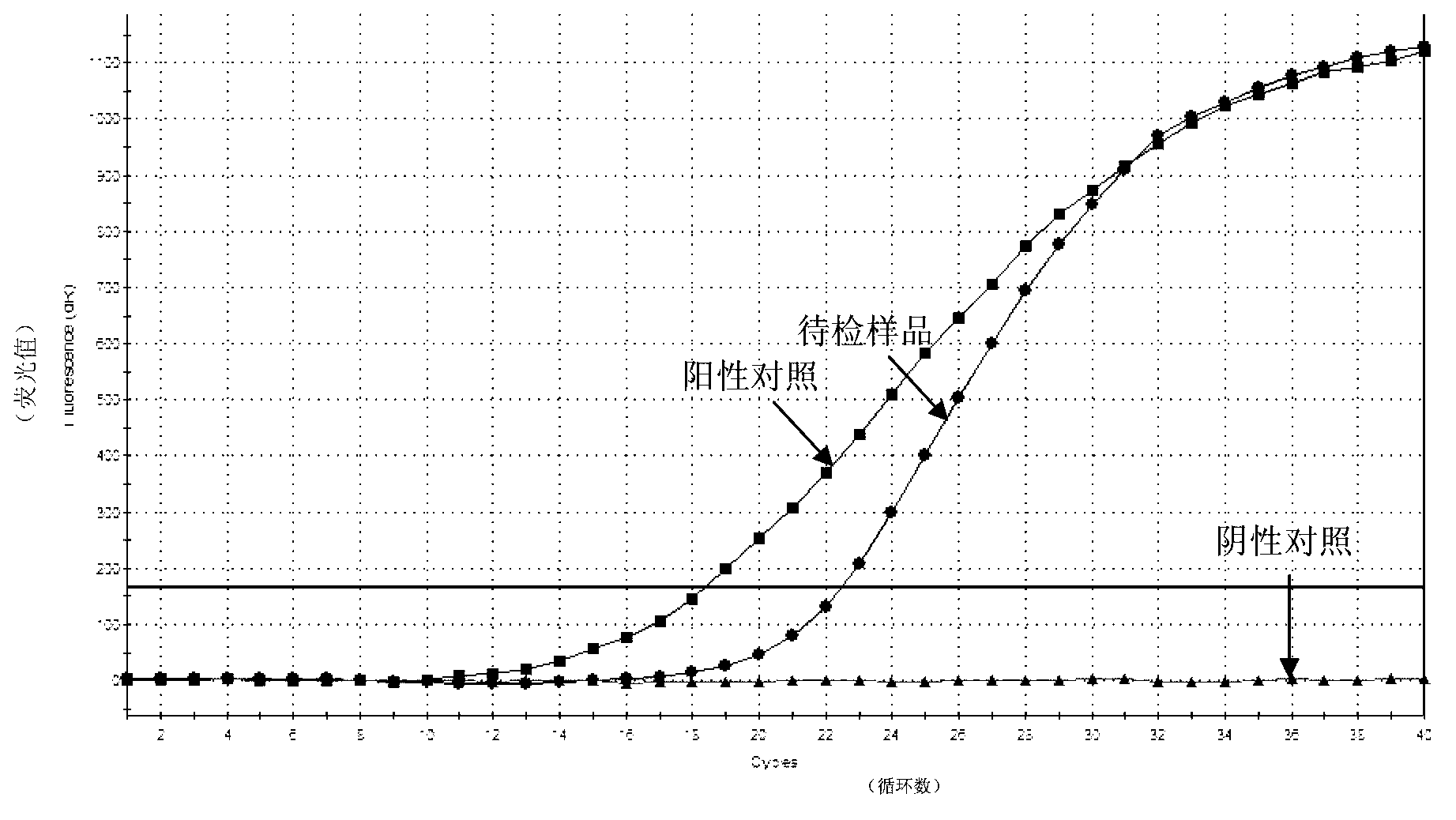 Kit for detecting orf virus of sheep and detection method thereof
