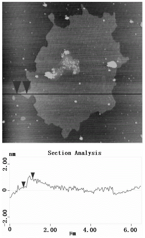 Method for improving the yield of graphene prepared by supercritical fluid by pretreatment of natural graphite