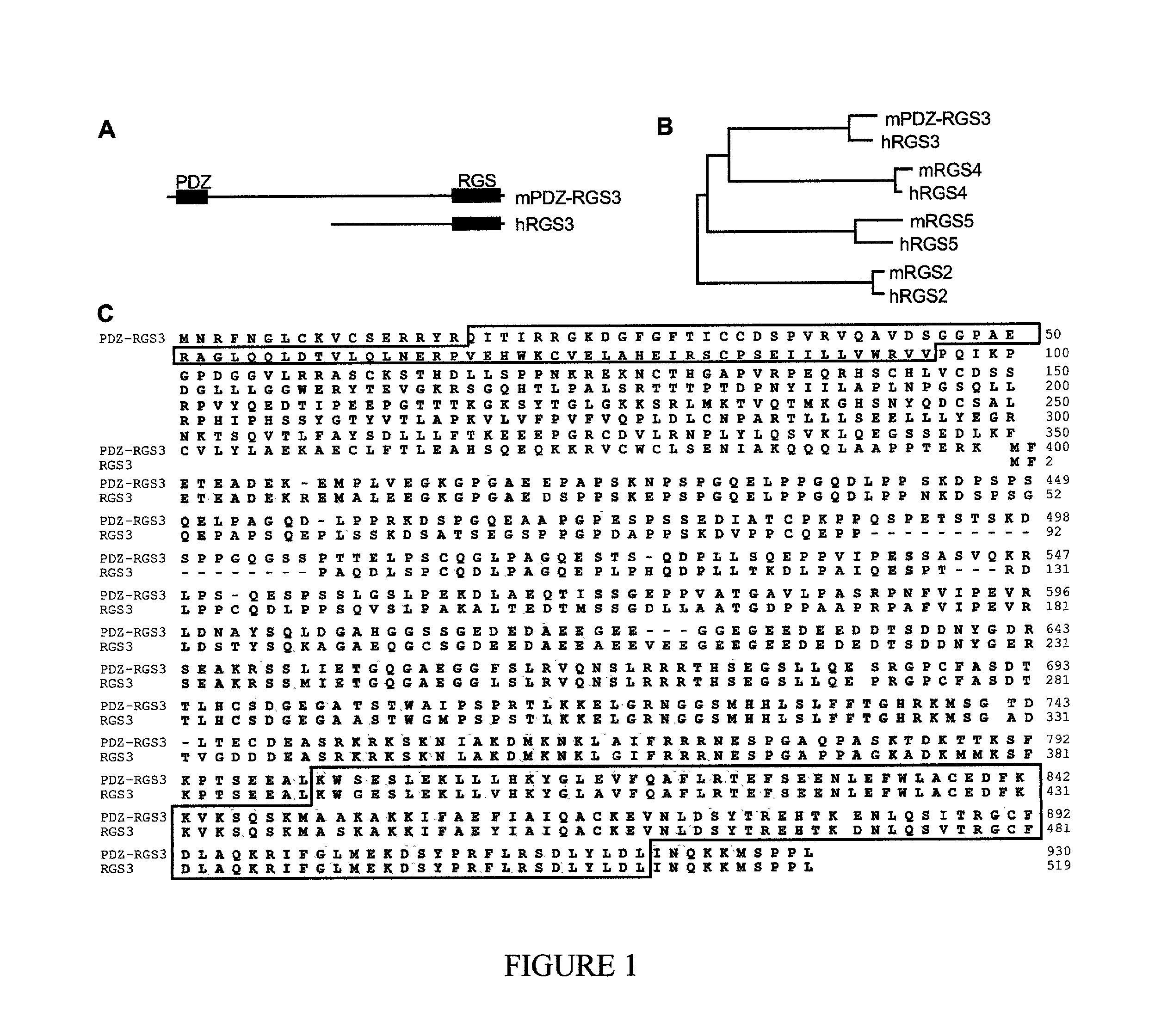 B-ephrin regulation of G-protein coupled chemoattraction, compositions, and methods of use
